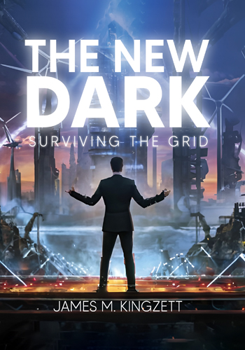 the new dark surviving the grid